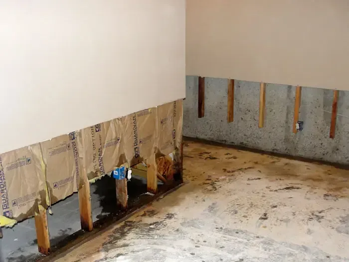 Lower drywall removed to expose wall studs and insulation