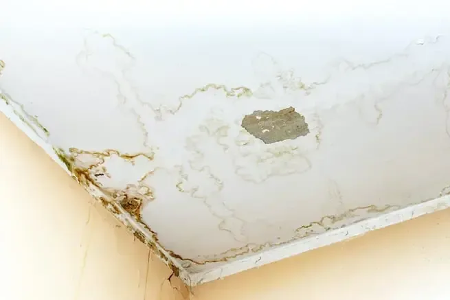 Cracked ceiling with brown water stains and peeling paint
