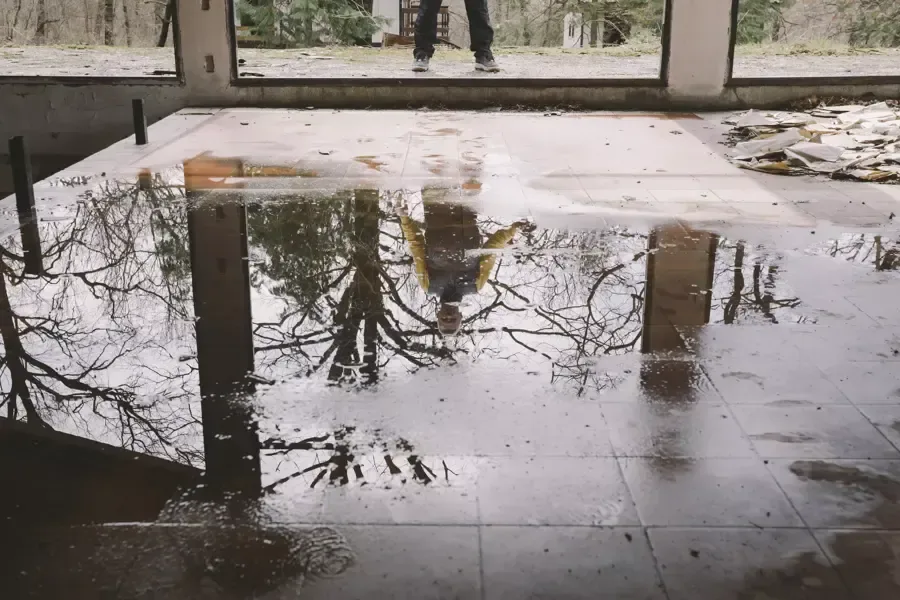 Standing water reflecting trees outside a building entrance
