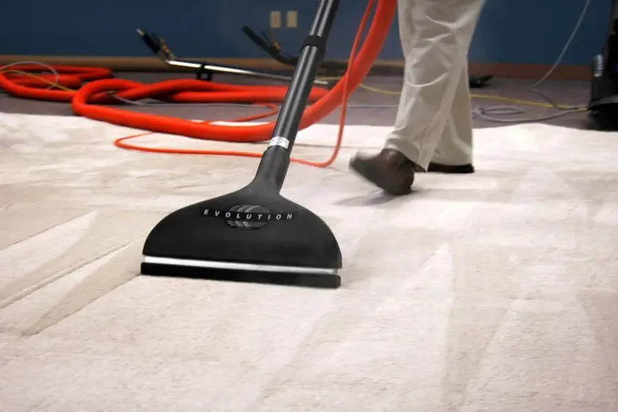 Extraction wand and red hoses removing water from carpet